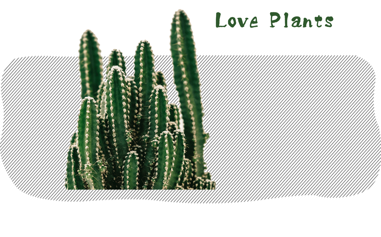 love_plants